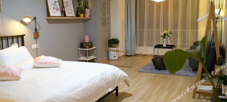 合肥一支百合酒店式公寓图片