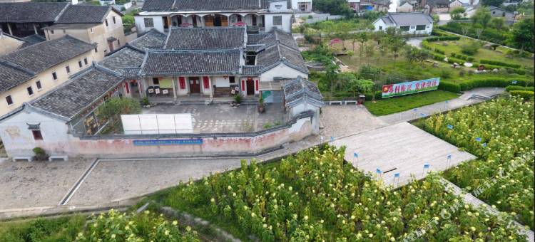 大埔美客美庐民宿图片
