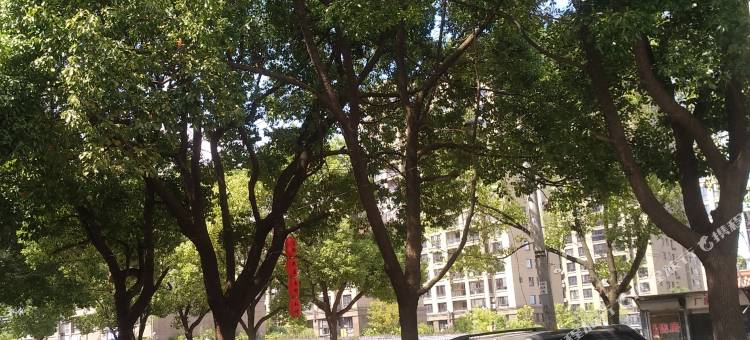 宁波乐高商务宾馆图片