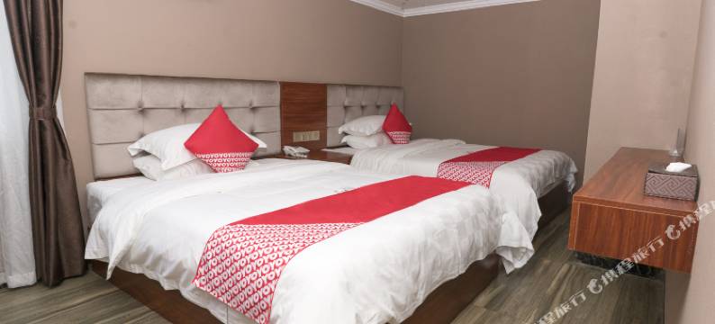 雷州华侨假日大酒店图片