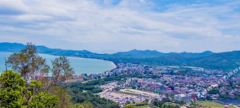 深圳花晨月夕民宿图片