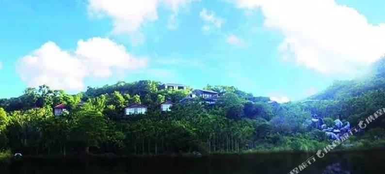 万宁橄榄树山庄图片