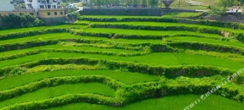 杭州秋韵农家乐图片