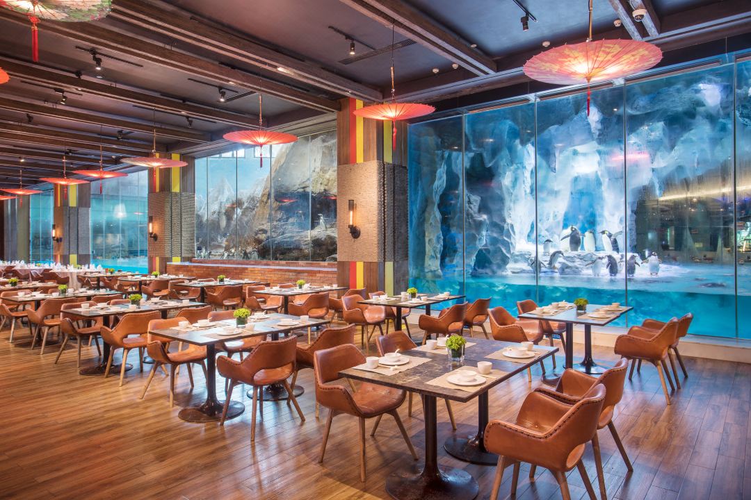 珠海長隆企鵝酒店|餐飲設施