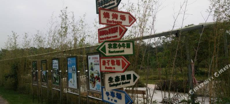 玉林桂牛水牛小镇居所特色民宿图片