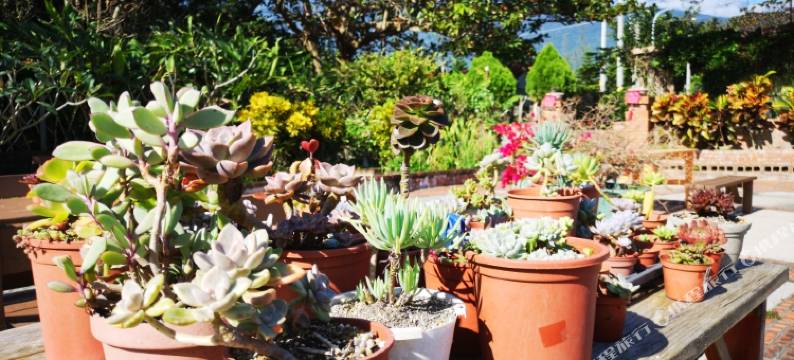 花莲七星潭自然海个性民宿图片