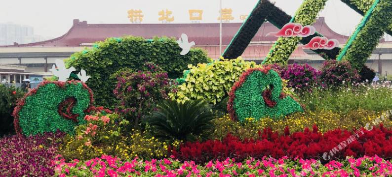 珠海太子殿下青年旅舍图片