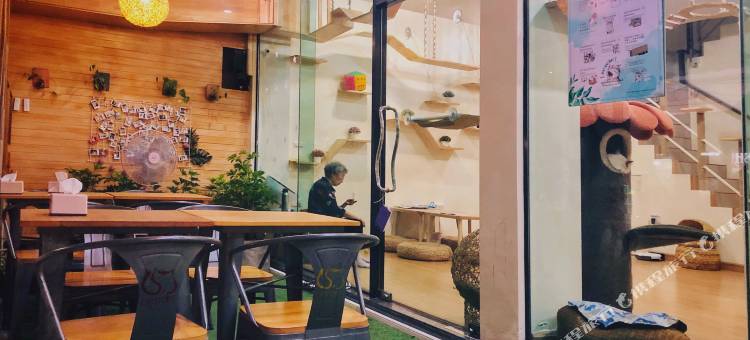 普吉岛猫舍精品客栈(Phuket Cathouse Boutique Inn)图片