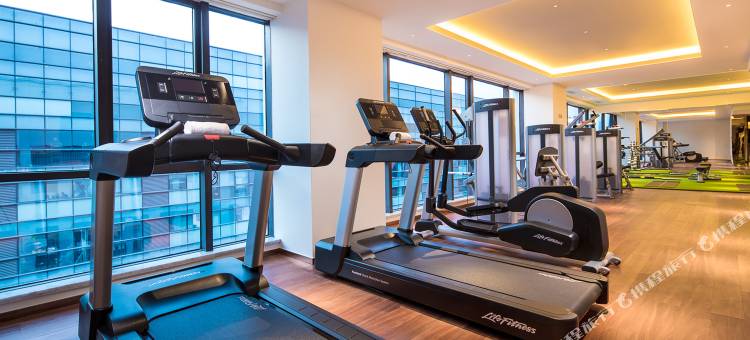 西安大都荟套房假日酒店(延平门地铁站)图片