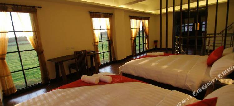 屏东放牛吃草图片