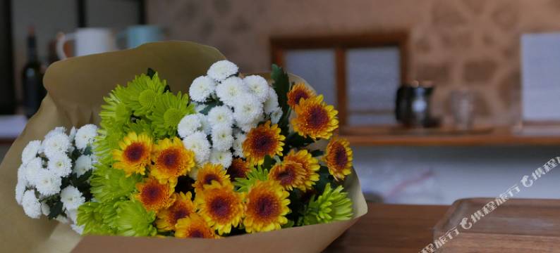 雁荡山幽然现民宿图片