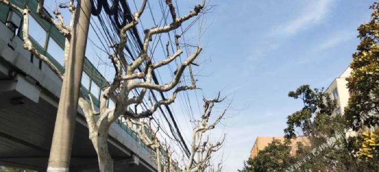 上海招财猫青年旅舍图片