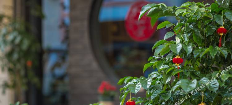 武夷山叶涵民宿(景区南入口店)图片