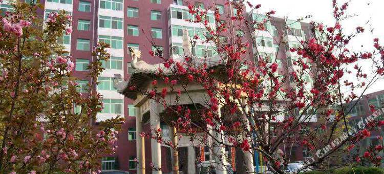 稷山红楼宾馆图片