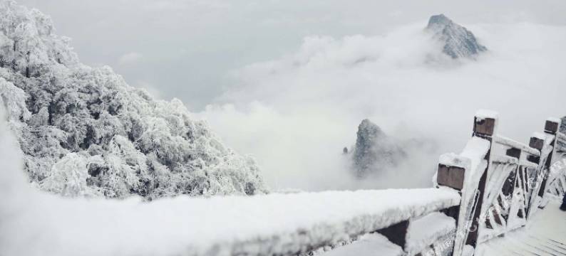 张家界安谷象屋客栈图片