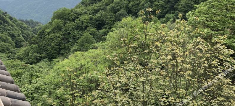 武当大酒店图片