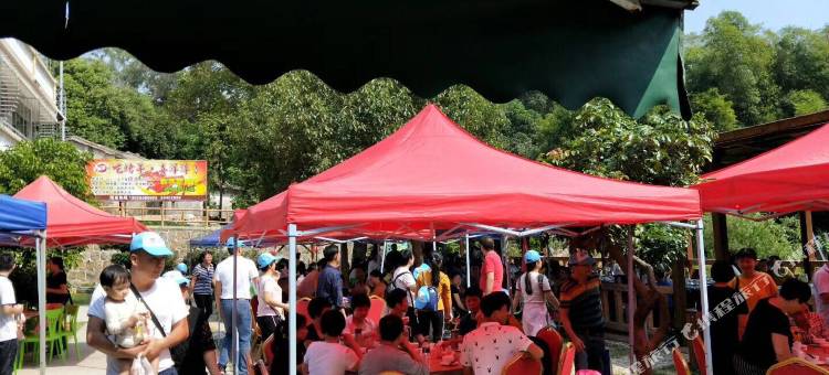 南澳爱来林山庄(黄花山海岛森林公园店)图片