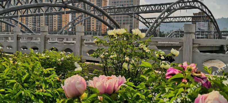临夏荣科饭店图片