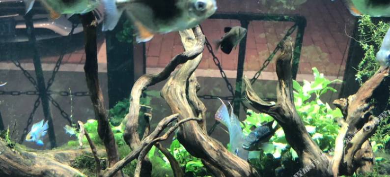 海丰宝丽四季酒店图片