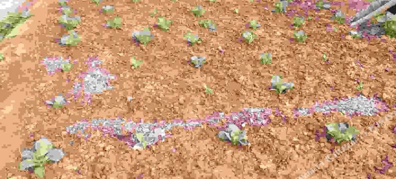 涞源向阳农家院图片