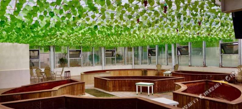 八宿多拉神山温泉宾馆图片