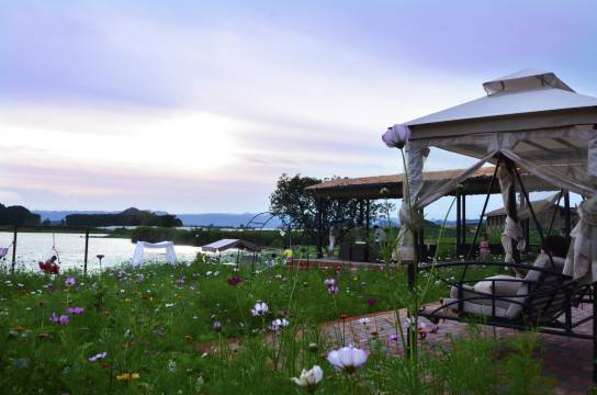 普者黑云傍花情宿·湖畔湖景民宿图片