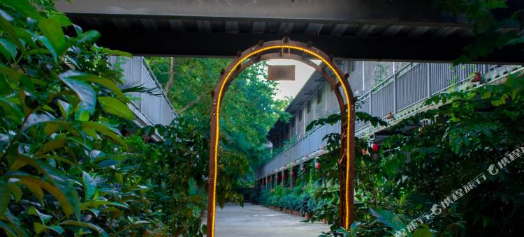 资兴木根小镇客栈(东江湖景区店)图片
