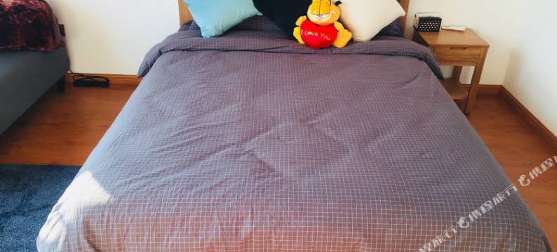 上海麦子塘北度假别墅图片