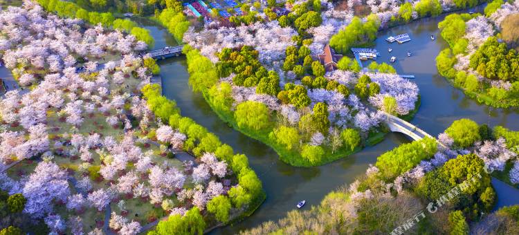 上海衡山北郊宾馆图片