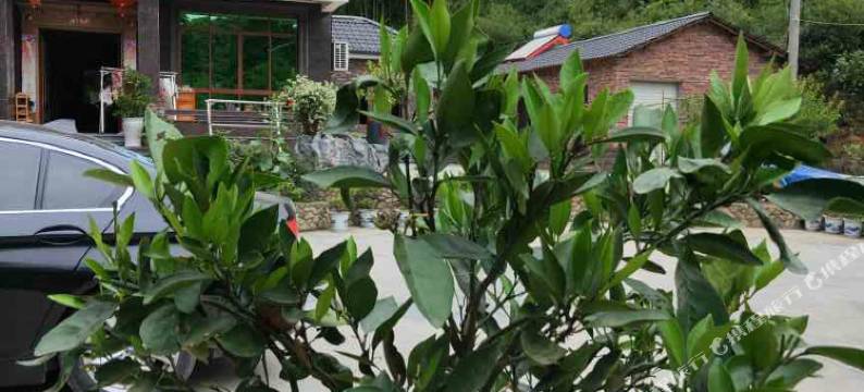 安吉子艺农家民宿图片