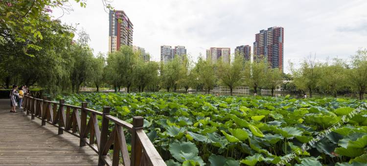 成都斯维登精品公寓(大弯中学万达广场店)图片