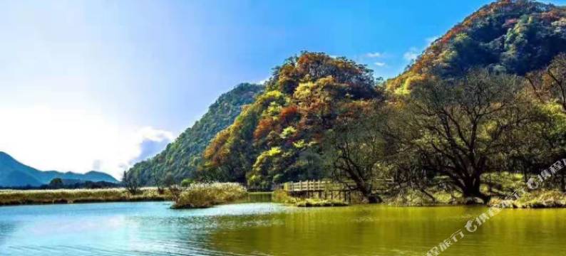 神农架九福商务酒店(大九湖坪阡古镇店)图片