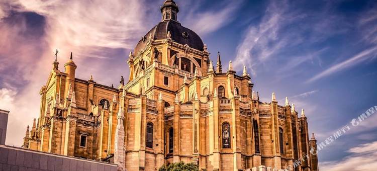 马德里公主美利亚酒店(Meliá Madrid Princesa)图片