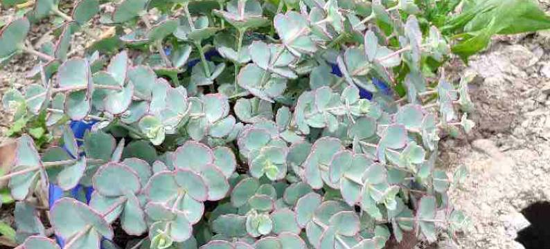 金丝峡新奇山庄图片