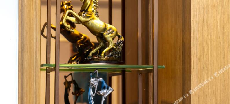 深圳沃家美兰行政公寓图片