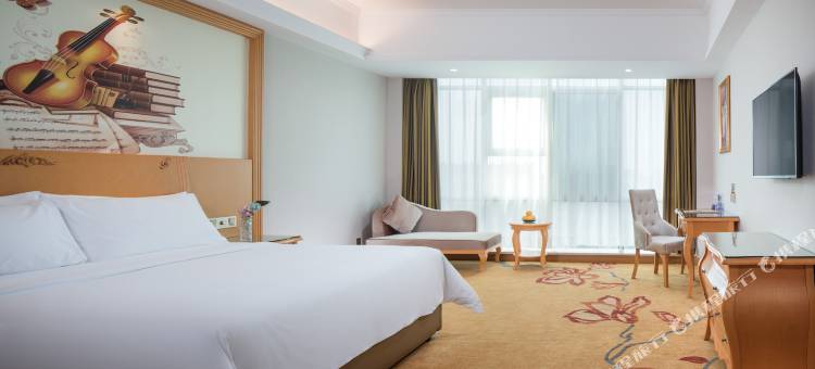 维也纳酒店(惠州仲恺高新区沥林镇卫生院沥林北站店)图片