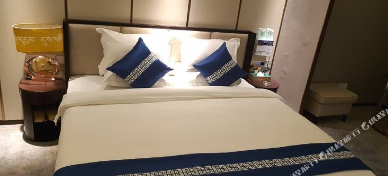 波密四季富氧酒店图片