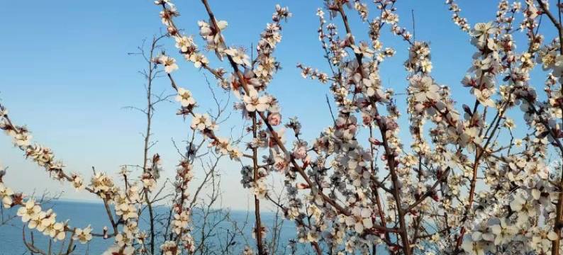 圣瑞酒店(兴城市兴海南街店)图片