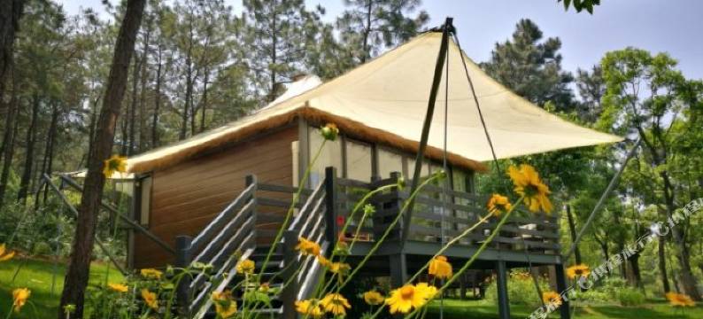 常州修心民宿图片