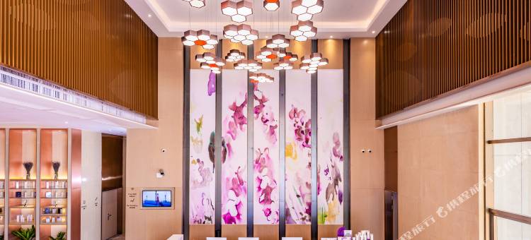 麗枫酒店(江门蓬江万达广场店)图片