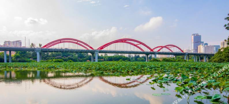 心怡精选酒店(深圳东门店)图片