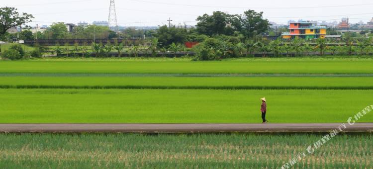 八六点八八民宿图片