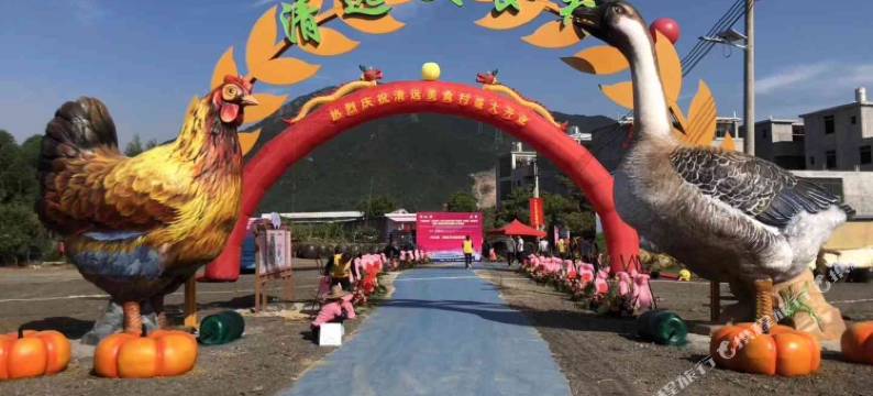 清远枫林小舍图片