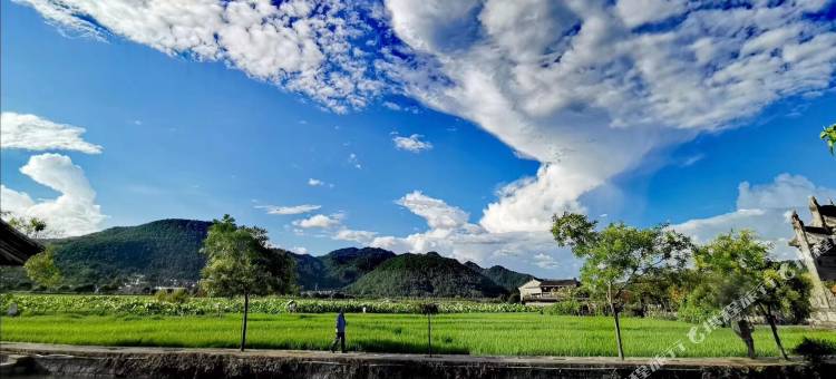 腾冲墨香居精品客栈图片