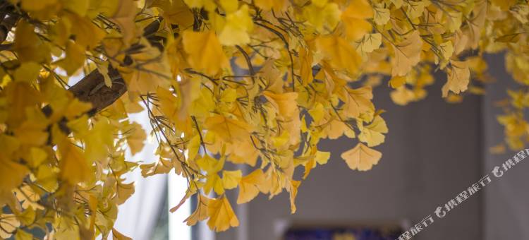 玉溪别家民宿(淘宝街店)图片