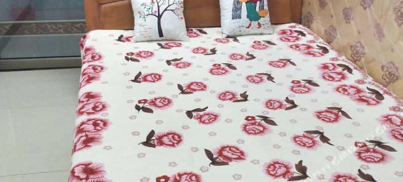 北海林清清青年旅舍图片