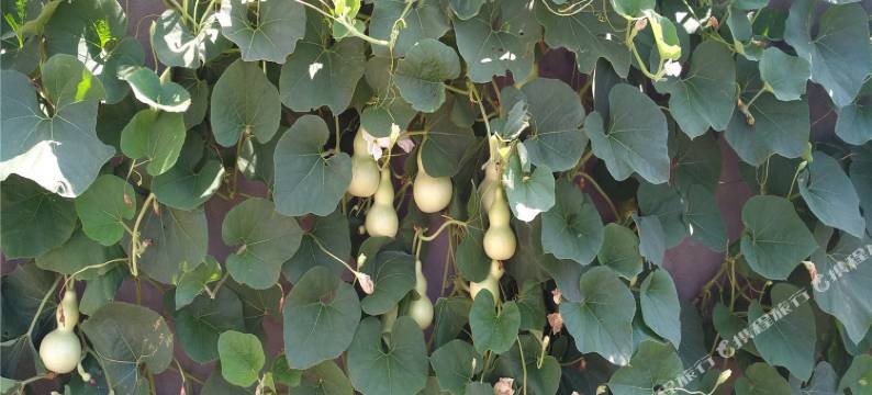 延安水晶恋人民宿图片