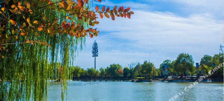 濉溪水立方酒店图片