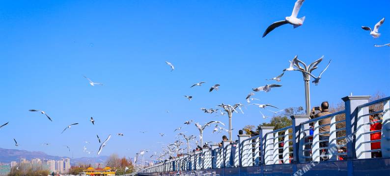 昆明•素彩   GRACEFUL  CULTURE 文化艺术酒店(滇池公园1903店)图片