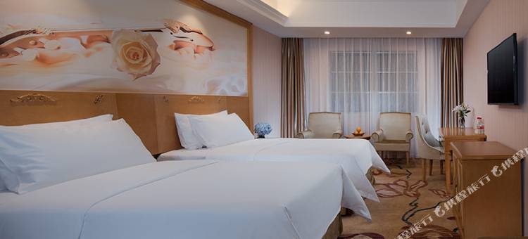 维也纳酒店(玉林容县古城桂南路店)图片